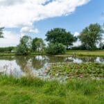 Groepsaccommodatie vijver